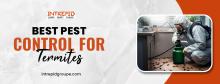 Best Pest Control for Termites, termite and pest control, Extermination services 