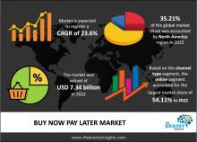 Buy Now Pay Later Market 