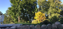 swell landscape design