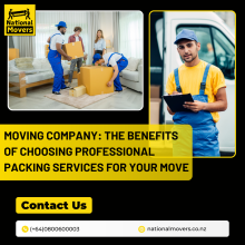 Moving Services Tauranga