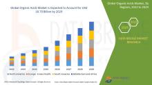 Organic Acids Market 