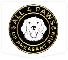 All Four Paws