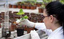 The Intersection of Biology and the Future: Advancements and Prospects