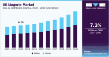 UK Lingerie, UK Lingerie Market, UK Lingerie Market Size, UK Lingerie Market Share, UK Lingerie Market Growth, UK Lingerie Market Trends, UK Lingerie Market Analysis, UK Lingerie Market Forecasts