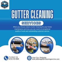 Gutter Cleaning Services 