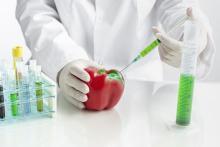 haccp certification vietnam