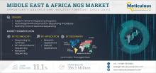 #NGS, #NextGenerationSequencing, #Genomics, #MiddleEast, #Africa, #Healthcare, #PrecisionMedicine, #GeneticTesting, #Bioinformatics, #MolecularDiagnostics, #MedicalResearch, #GenomicSequencing, #MarketResearch, #MeticulousResearch, #LifeSciences, #ClinicalGenomics
