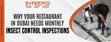 Insect Control Inspections