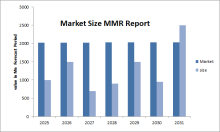 Water and Wastewater Treatment Chemicals Market 