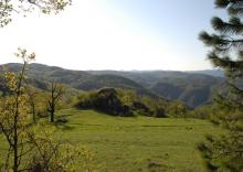 Piemonte Property for Sale