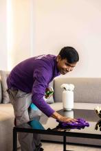Cleaning company in Beirut, Glass cleaning company, Pest control services Lebanon