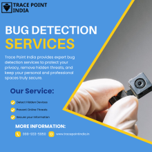 Bug Detection services in Pune