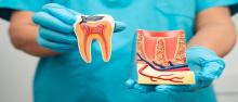 Trusted General Dentist at Druid Hills Dental of Decatur