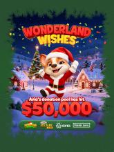 https://www.aviagames.com/christmas-event-wonderland-wishes