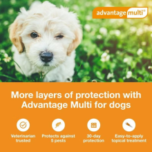 Advantage Multi for dogs - Flea & Worm Protection