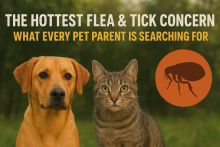 The Hottest Flea & Tick Concerns: What Every Pet Parent Is Searching For