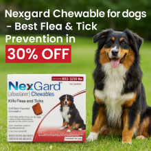 Nexgard Chewable for Dogs - Best Flea & Tick Prevention in 30% OFF