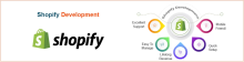 freelance Shopify developer for DTC brand