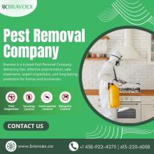 PestRemovalCompany, OttawaPestRemovals, TrustedPestRemovals, Bravoex, BravoexPestControl, PestControlServices,