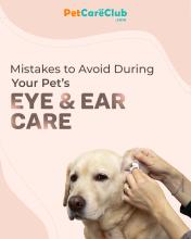 Mistakes to Avoid During Your Pet’s Eye & Ear Care