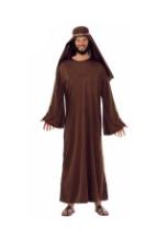 Christmas Costume Idea