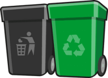 Trash bin cleaning service