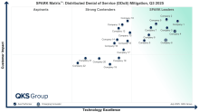 Distributed Denial of Service (DDoS) Mitigation