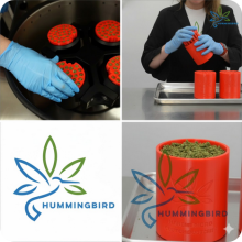 pre-rolled cone filling machines 