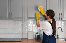 Pest Control Services