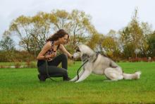 Dog Trainer in Bangalore