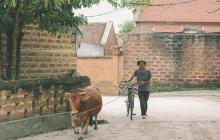  Slow Evenings on Vietnam Honeymoon Tours