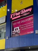 pink bunny qc branch