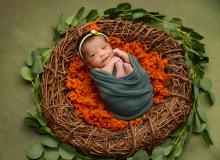 Best Newborn Photography