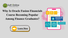 Fusion Financials Online Training, Oracle Fusion Financials Course, Oracle Fusion Financials Training, Oracle Fusion Financials Online Training