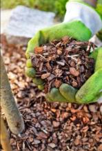 garden mulching