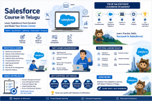 Learn Salesforce in Telugu, Salesforce Online Course in Telugu, CRM Course in Telugu
