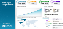 Anti Fungal Drugs, Anti Fungal Drugs Industry, Anti Fungal Drugs Market, Anti Fungal Drugs Market Size, Anti Fungal Drugs Market Share, Anti Fungal Drugs Market Trends, Anti Fungal Drugs Market Growth, Anti Fungal Drugs Market Demand