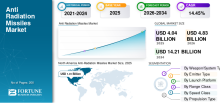 Anti Radiation Missiles, Anti Radiation Missiles Industry, Anti Radiation Missiles Market, Anti Radiation Missiles Market Size, Anti Radiation Missiles Market Share, Anti Radiation Missiles Market Trends, Anti Radiation Missiles Market Growth, Anti Radiation Missiles Market Demand