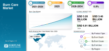 Burn Care, Burn Care Industry, Burn Care Market, Burn Care Market Size, Burn Care Market Share, Burn Care Market Trends, Burn Care Market Growth, Burn Care Market Demand