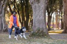 Dog Walkers in Visakhapatnam