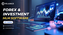 Forex and Investment MLM Software
