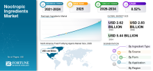 Nootropic Ingredients, Nootropic Ingredients Industry, Nootropic Ingredients Market, Nootropic Ingredients Market Size, Nootropic Ingredients Market Share, Nootropic Ingredients Market Trends, Nootropic Ingredients Market Growth, Nootropic Ingredients Market Demand