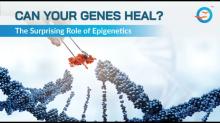Understanding How Epigenetics Shapes Your Health
