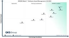 software asset management