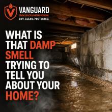 Musty Smell Removal Madison