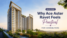 ace aster ravet