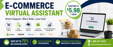 E-Commerce Virtual Assistant