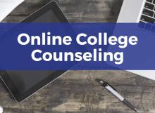 Online College Counseling