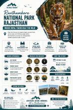Ranthambore National Park in Rajasthan
