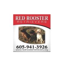 Pet Services